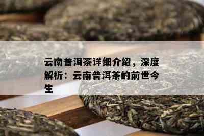 云南普洱茶详细介绍，深度解析：云南普洱茶的前世今生