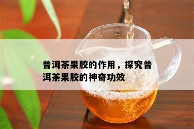 普洱茶果胶的作用，探究普洱茶果胶的神奇功效