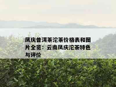 凤庆普洱茶沱茶价格表和图片全览：云南凤庆沱茶特色与评价