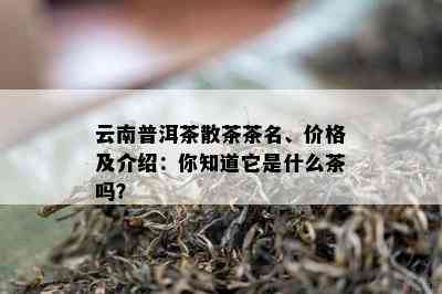 云南普洱茶散茶茶名、价格及介绍：你知道它是什么茶吗？