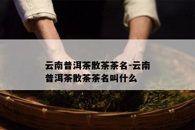 云南普洱茶散茶茶名-云南普洱茶散茶茶名叫什么