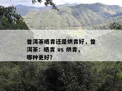 普洱茶晒青还是烘青好，普洱茶：晒青 vs 烘青，哪种更好？