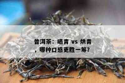 普洱茶：晒青 vs 烘青，哪种口感更胜一筹？