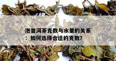 泡普洱茶克数与水量的关系：如何选择合适的克数？