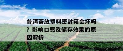 普洱茶放塑料密封箱会坏吗？影响口感及储存效果的原因解析