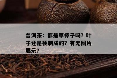 普洱茶：都是草棒子吗？叶子还是梗制成的？有无图片展示？