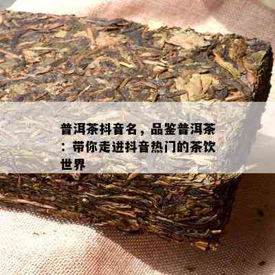 普洱茶抖音名，品鉴普洱茶：带你走进抖音热门的茶饮世界