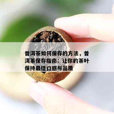 普洱茶如何保存的方法，普洱茶保存指南：让你的茶叶保持更佳口感与品质