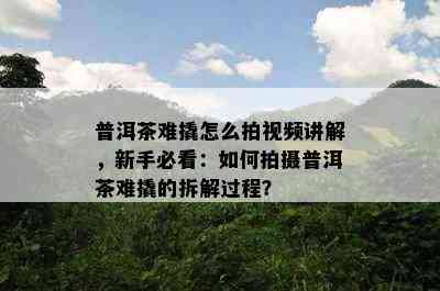 普洱茶难撬怎么拍视频讲解，新手必看：如何拍摄普洱茶难撬的拆解过程？