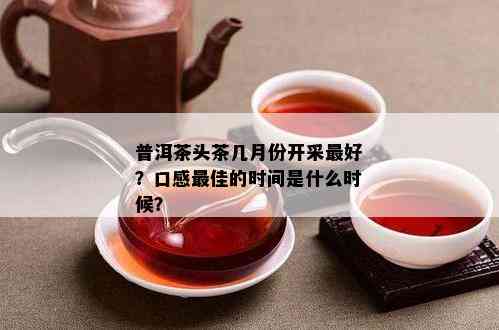 普洱茶头茶几月份开采更好？口感更佳的时间是什么时候？