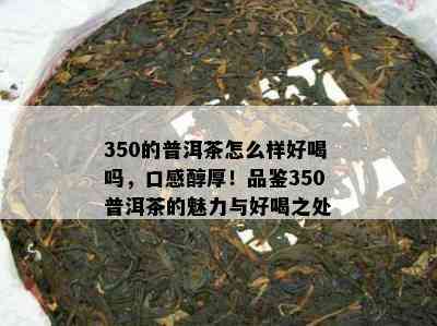 350的普洱茶怎么样好喝吗，口感醇厚！品鉴350普洱茶的魅力与好喝之处