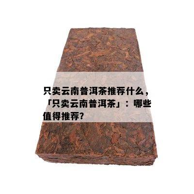 只卖云南普洱茶推荐什么，「只卖云南普洱茶」：哪些值得推荐？