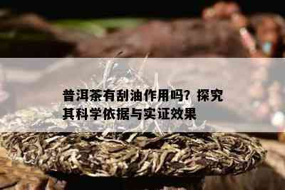 普洱茶有刮油作用吗？探究其科学依据与实证效果