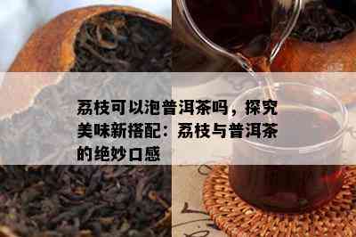 荔枝可以泡普洱茶吗，探究美味新搭配：荔枝与普洱茶的绝妙口感