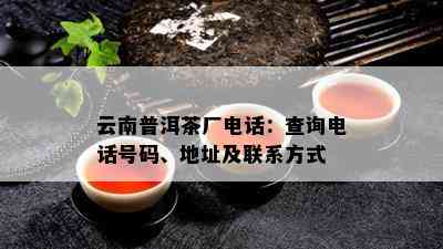 云南普洱茶厂电话：查询电话号码、地址及联系方式