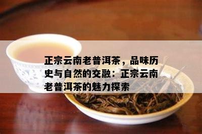 正宗云南老普洱茶，品味历史与自然的交融：正宗云南老普洱茶的魅力探索