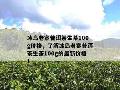 冰岛老寨普洱茶生茶100g价格，了解冰岛老寨普洱茶生茶100g的最新价格！