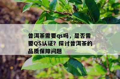 普洱茶需要qs吗，是否需要QS认证？探讨普洱茶的品质保障问题