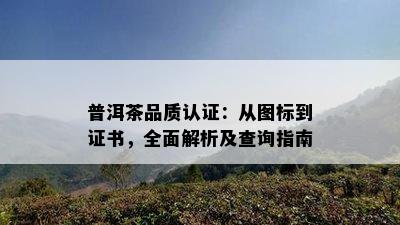 普洱茶品质认证：从图标到证书，全面解析及查询指南