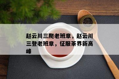 赵云川三爬老班章，赵云川三登老班章，征服茶界新高峰