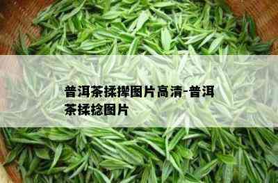 普洱茶揉撵图片高清-普洱茶揉捻图片