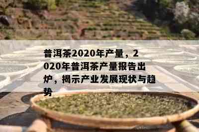 普洱茶2020年产量，2020年普洱茶产量报告出炉，揭示产业发展现状与趋势