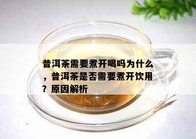 普洱茶需要煮开喝吗为什么，普洱茶是否需要煮开饮用？原因解析