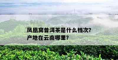 凤凰窝普洱茶是什么档次？产地在云南哪里？