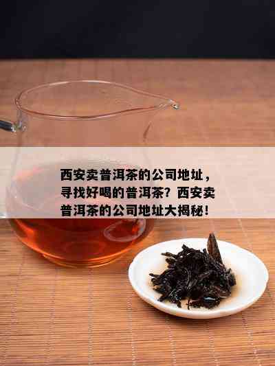 西安卖普洱茶的公司地址，寻找好喝的普洱茶？西安卖普洱茶的公司地址大揭秘！