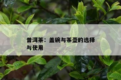 普洱茶：盖碗与茶壶的选择与使用