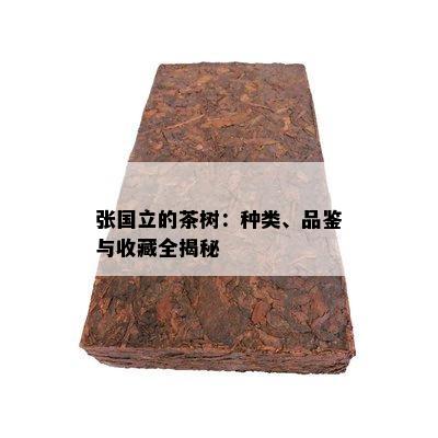 张国立的茶树：种类、品鉴与收藏全揭秘