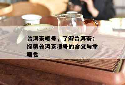 普洱茶唛号，了解普洱茶：探索普洱茶唛号的含义与重要性