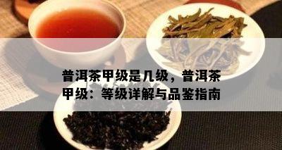 普洱茶甲级是几级，普洱茶甲级：等级详解与品鉴指南