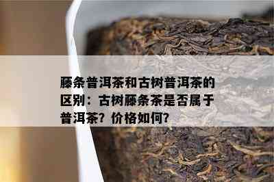 藤条普洱茶和古树普洱茶的区别：古树藤条茶是否属于普洱茶？价格如何？