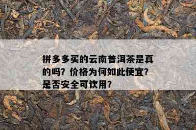 拼多多买的云南普洱茶是真的吗？价格为何如此便宜？是否安全可饮用？