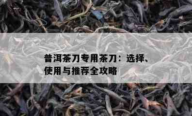 普洱茶刀专用茶刀：选择、使用与推荐全攻略