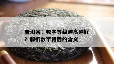 普洱茶：数字等级越高越好？解析数字背后的含义