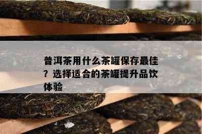 普洱茶用什么茶罐保存更佳？选择适合的茶罐提升品饮体验