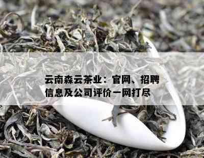 云南森云茶业：官网、招聘信息及公司评价一网打尽