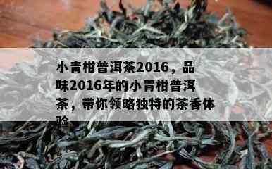 小青柑普洱茶2016，品味2016年的小青柑普洱茶，带你领略独特的茶香体验