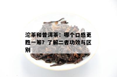 沱茶和普洱茶：哪个口感更胜一筹？了解二者功效与区别