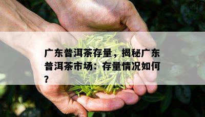 广东普洱茶存量，揭秘广东普洱茶市场：存量情况如何？