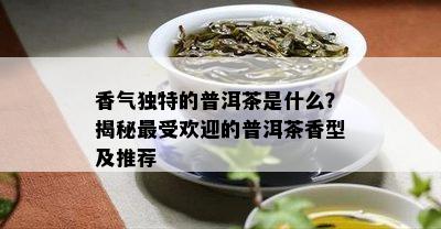 香气独特的普洱茶是什么？揭秘更受欢迎的普洱茶香型及推荐