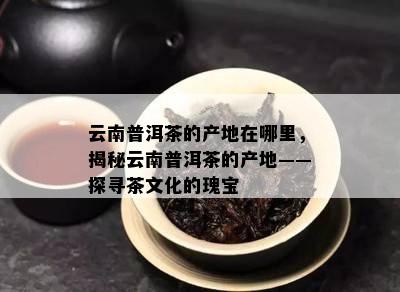 云南普洱茶的产地在哪里，揭秘云南普洱茶的产地——探寻茶文化的瑰宝