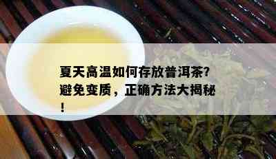 夏天高温如何存放普洱茶？避免变质，正确方法大揭秘！