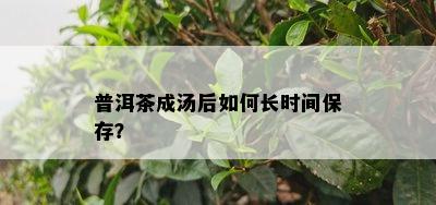 普洱茶成汤后如何长时间保存？