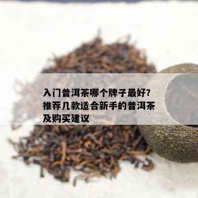 入门普洱茶哪个牌子更好？推荐几款适合新手的普洱茶及购买建议