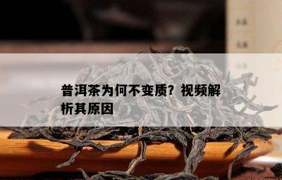 普洱茶为何不变质？视频解析其原因