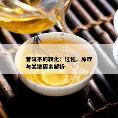 普洱茶的转化：过程、原理与关键因素解析