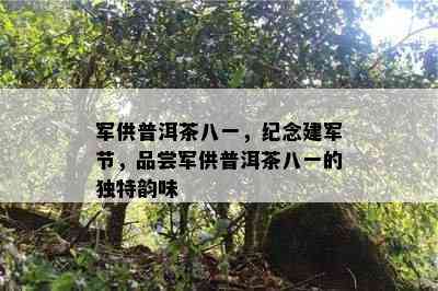 军供普洱茶八一，纪念建军节，品尝军供普洱茶八一的独特韵味